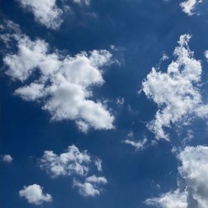 Meet your Posher, Mikayla